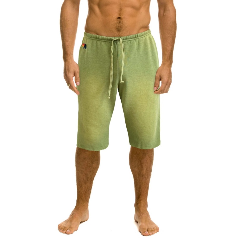 Aviator Nation Green Men's Shorts